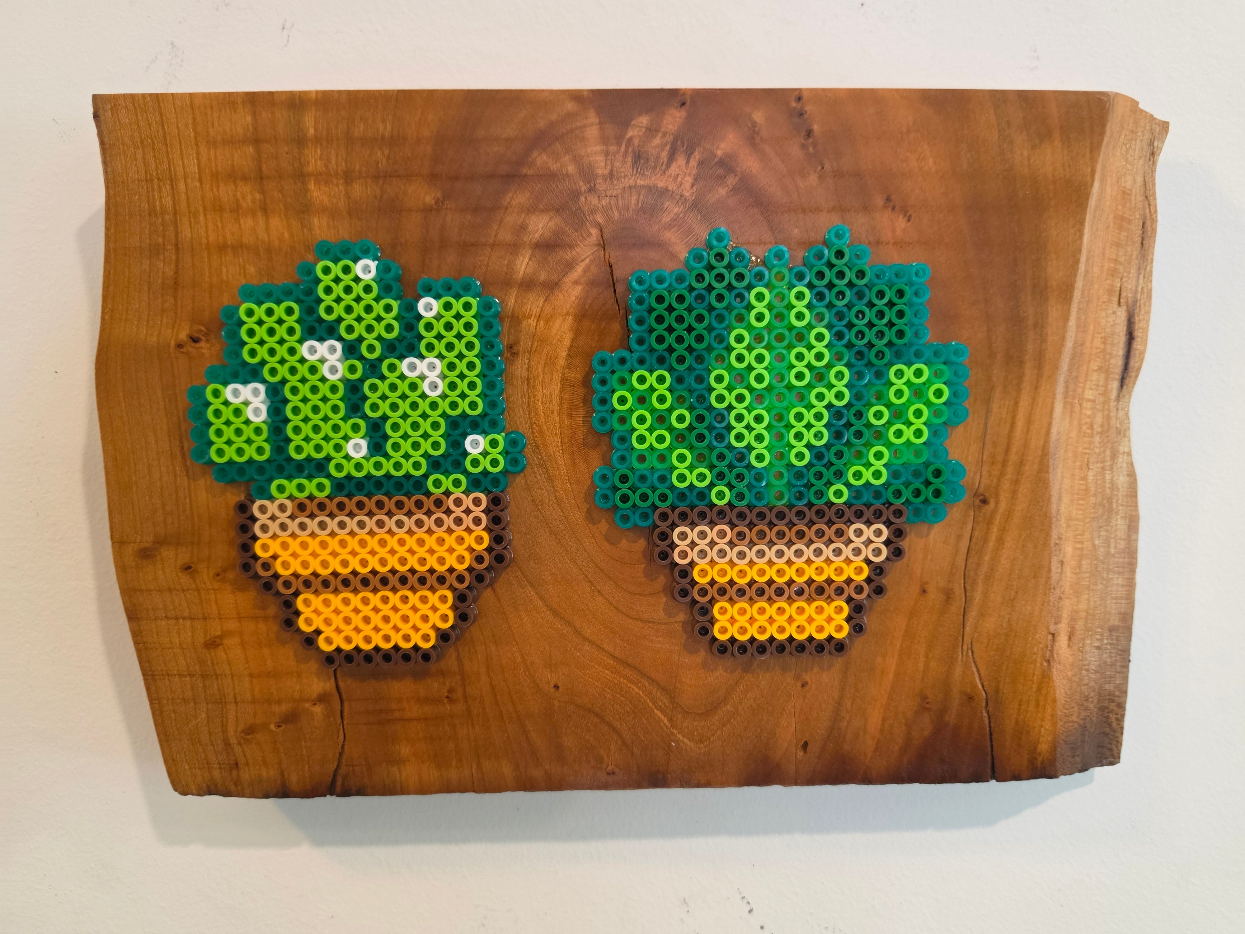 Potted Succulents Perler Bead Wood Wall Art — Live Edge Cherry