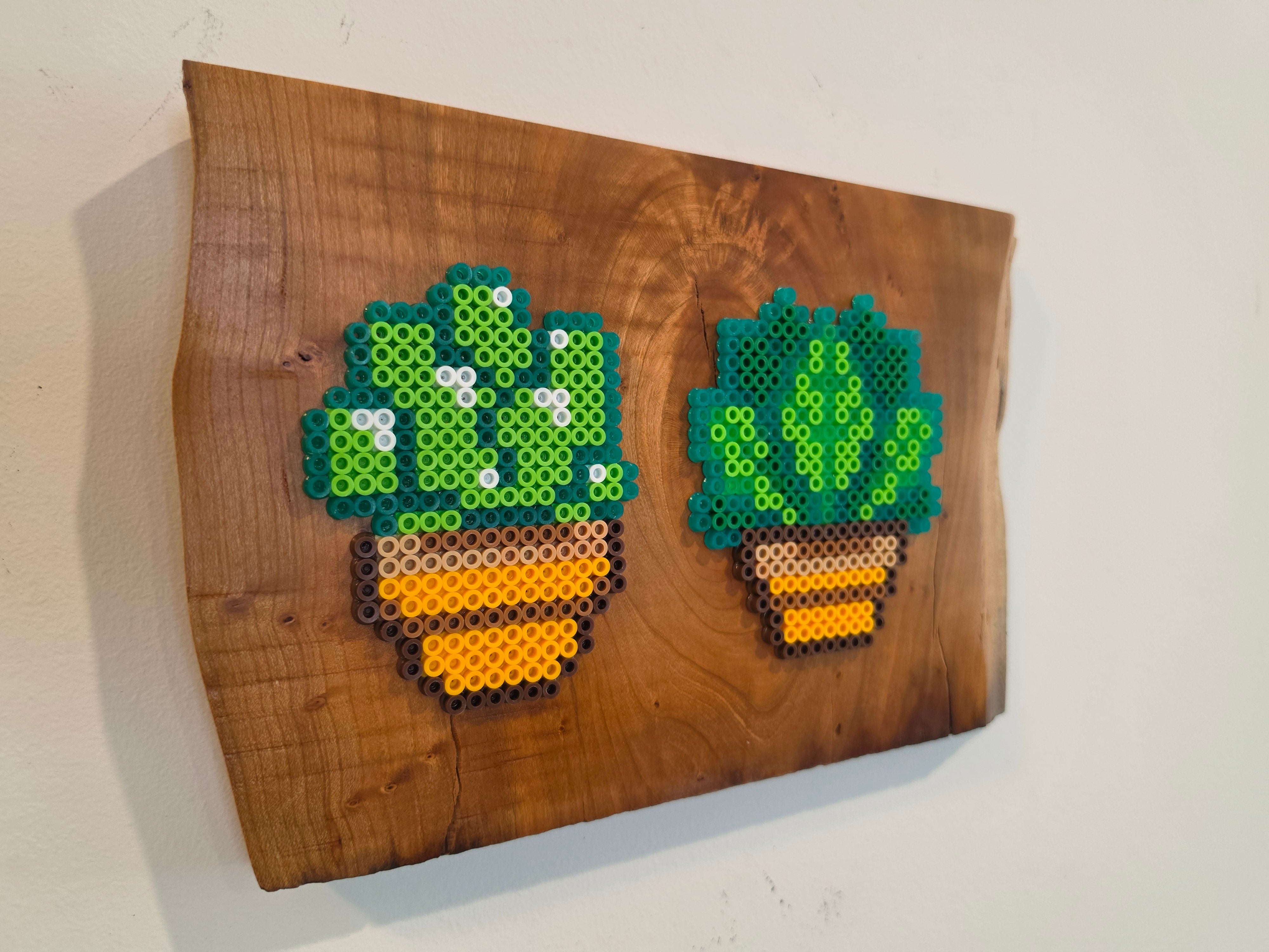 Potted Succulents Perler Bead Wood Wall Art — Live Edge Cherry